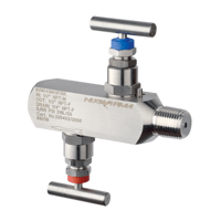 Nuova Fima Bar Stock Two Valve Manifold Block and Bleed, BSM/M2